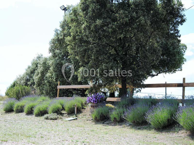 Location salle Nîmes (Gard) - La Bergerie du Mas #6