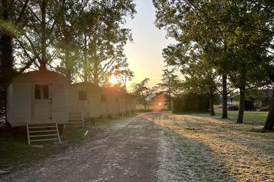 Table décorée avec des verres à pied, des fleurs roses et blanches, et des éléments de décoration en bois et dentelle.