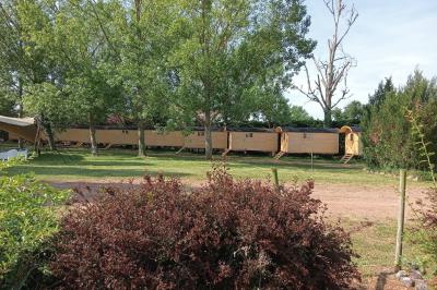 Table décorée avec des verres à pied, des fleurs roses et blanches, et des éléments de décoration en bois et dentelle.