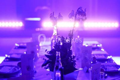 Plateau de sushis variés avec saumon, riz, légumes et feuilles d'endive, présenté sur un support transparent.