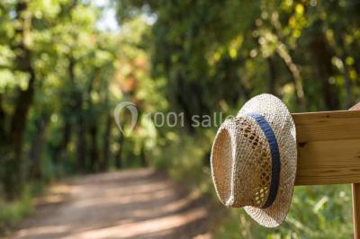 Location salle Ollières (Var) - Les Terres de Saint Hilaire #19