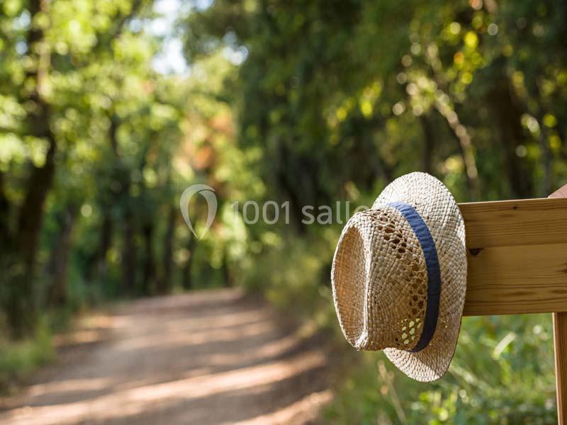 Location salle Ollières (Var) - Les Terres de Saint Hilaire #11
