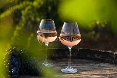 Location salle Ollières (Var) - Les Terres de Saint Hilaire #19