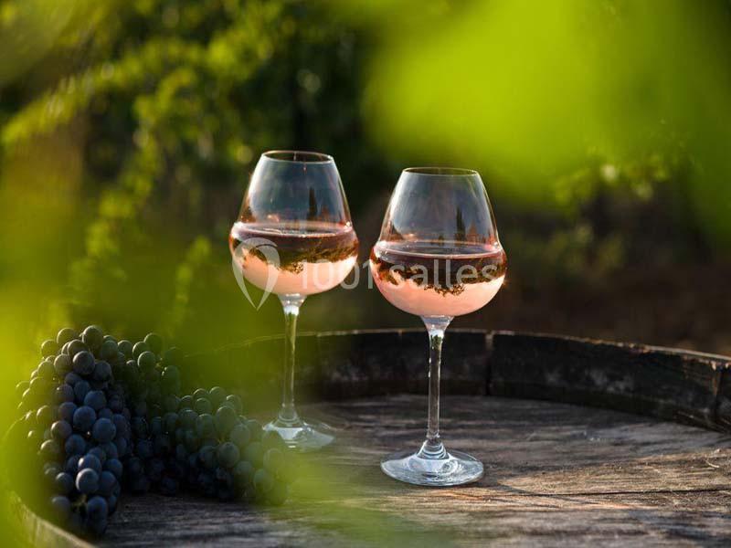 Location salle Ollières (Var) - Les Terres de Saint Hilaire #13