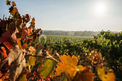 Location salle Ollières (Var) - Les Terres de Saint Hilaire #19