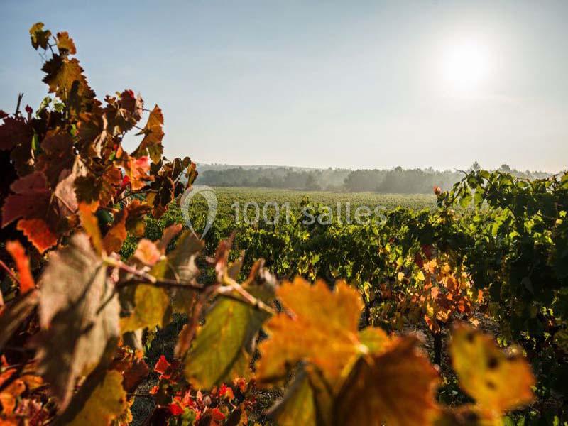 Location salle Ollières (Var) - Les Terres de Saint Hilaire #16
