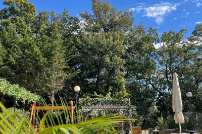 Table décorée pour une fête avec des donuts glacés bleus, des cubes décoratifs et des desserts variés sur des supports en…
