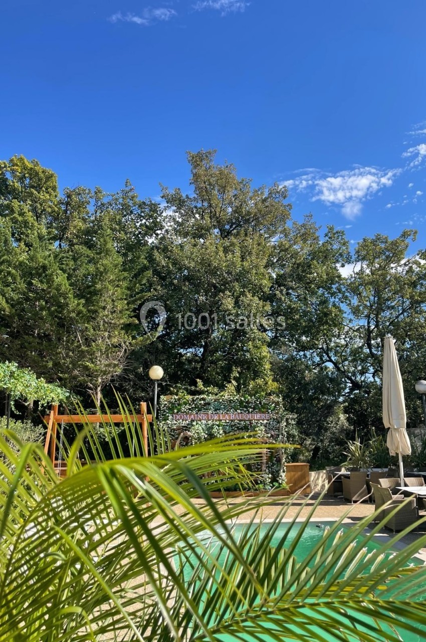 Vue d'une piscine entourée de végétation, avec des chaises longues, un parasol et un ciel bleu dégagé.