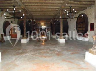 Location salle Narbonne (Aude) - Château Pech Celeyran #12