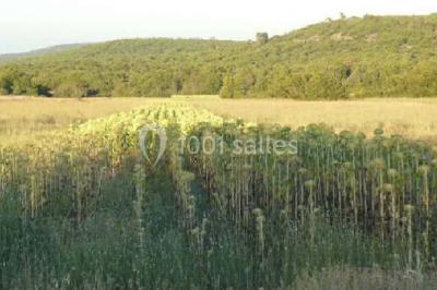 Miniature Location salle Rians (Var) - Domaine Des Puits De Rians #13 Location salle Rians (Var) - Domaine Des Puits De Rians #15