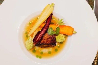 Assiette gastronomique avec filet de viande, purée de carottes, garniture de légumes et sauce décorative.