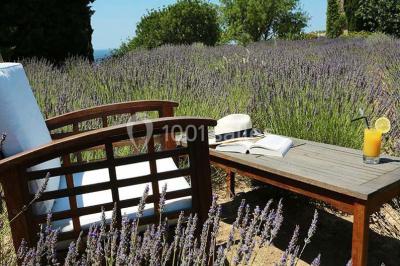 Location salle Salon-de-Provence (Bouches-du-Rhône) - Garrigae Abbaye De Sainte Croix #13