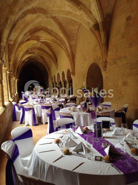 Location salle Villeveyrac (Hérault) - Abbaye de Valmagne #9