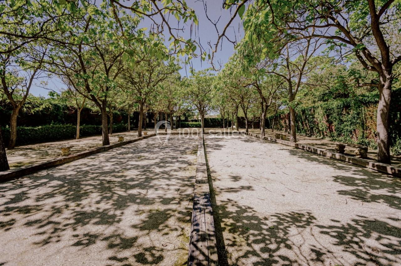 Allée ombragée bordée d'arbres avec un sol en gravier, entourée de végétation dense.