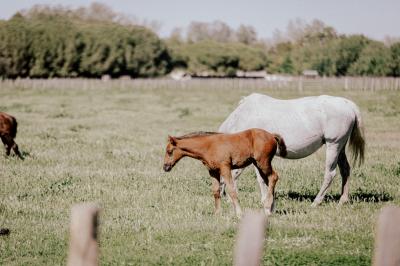 Une mariée souriante brandit un éventail devant un gâteau de mariage décoré, entourée d'invités en extérieur.