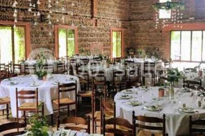 Chemin bordé d'arbres menant à un kiosque en bois avec un toit en tuiles, entouré de verdure.
