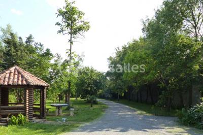 Chemin bordé d'arbres menant à un kiosque en bois avec un toit en tuiles, entouré de verdure.