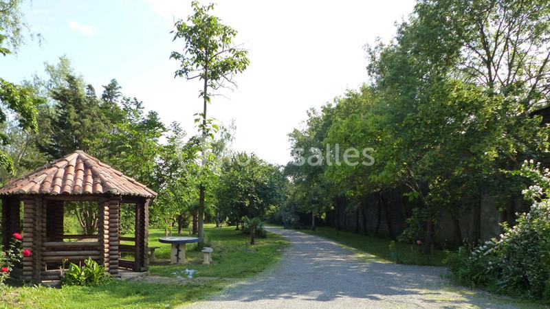 Chemin bordé d'arbres menant à un kiosque en bois avec un toit en tuiles, entouré de verdure.