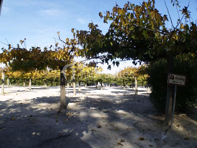 Location salle Mouriès (Bouches-du-Rhône) - La Bergerie De Servanes #9