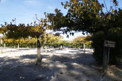 Location salle Mouriès (Bouches-du-Rhône) - La Bergerie De Servanes #21