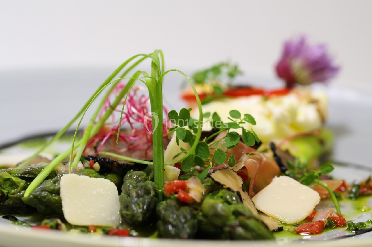 Assiette garnie d'asperges, copeaux de fromage, légumes colorés et herbes fraîches, présentée avec soin.