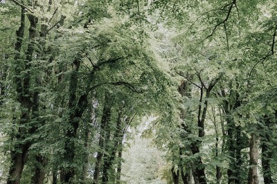 Manoir ancien entouré d'arbres et de buissons sous la neige, éclairé par une lumière hivernale douce.