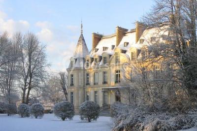 Manoir ancien entouré d'arbres et de buissons sous la neige, éclairé par une lumière hivernale douce.