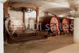 Location salle Villié-Morgon (Rhône) - Caveau De Morgon #9