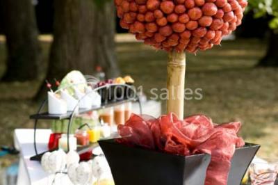 Traiteur Saint-Maur-des-Fossés (Val-de-Marne) - Cyrille Billot Réceptions #24