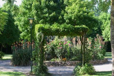 Table dressée en extérieur avec nappes blanches, boissons et verres, entourée de buissons fleuris d'hortensias.