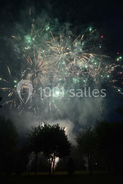 Feu d'artifice illuminant le ciel nocturne au-dessus d'arbres sombres dans un parc.