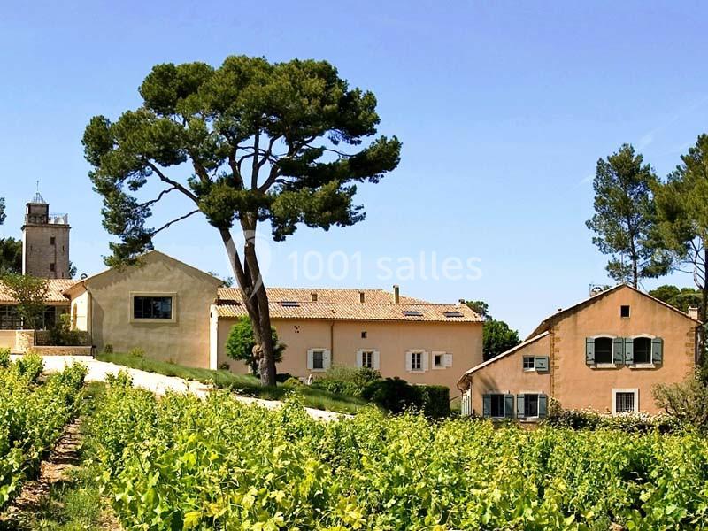 Location salle Sorgues (Vaucluse) - Château La Tour Vaucros #7 Vue d'un domaine viticole avec des bâtiments en pierre, un grand pin et des vignes au premier plan.