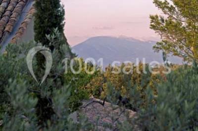 Miniature Location salle Sorgues (Vaucluse) - Château La Tour Vaucros #15 Terrain de tennis entouré d'arbres et de végétation, avec un olivier au premier plan.