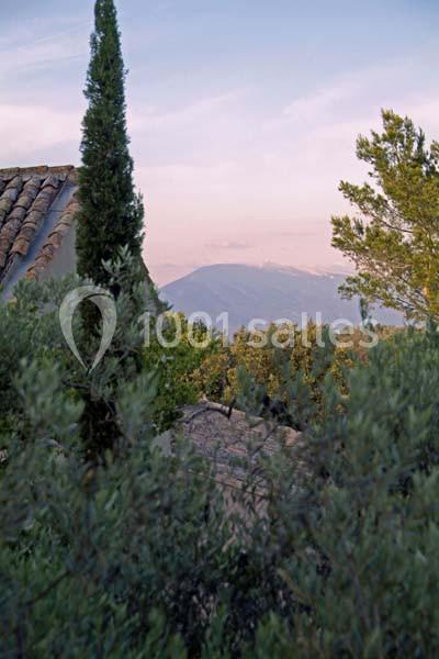 Location salle Sorgues (Vaucluse) - Château La Tour Vaucros #15 Paysage méditerranéen avec un toit en tuiles, un cyprès, des arbustes et une montagne à l'horizon sous un ciel clair.