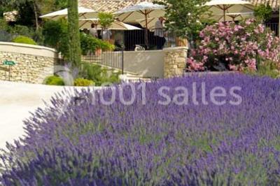 Miniature Location salle Sorgues (Vaucluse) - Château La Tour Vaucros #14 Terrain de tennis entouré d'arbres et de végétation, avec un olivier au premier plan.