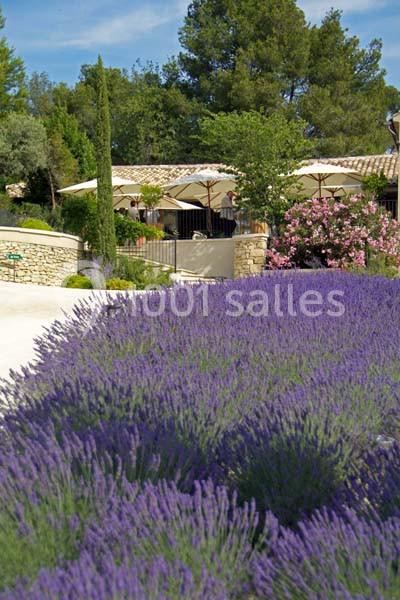 Location salle Sorgues (Vaucluse) - Château La Tour Vaucros #14 Champ de lavande en premier plan avec une terrasse ombragée et des arbres en arrière-plan sous un ciel bleu.