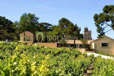 Miniature Location salle Sorgues (Vaucluse) - Château La Tour Vaucros #16 Terrain de tennis entouré d'arbres et de végétation, avec un olivier au premier plan.