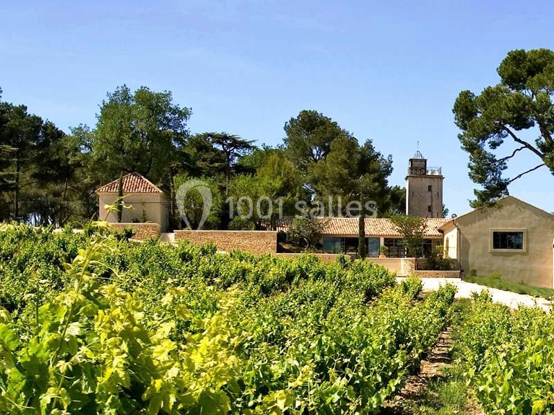 Location salle Sorgues (Vaucluse) - Château La Tour Vaucros #16 Vignes verdoyantes devant des bâtiments en pierre et une tour entourés d'arbres sous un ciel bleu.