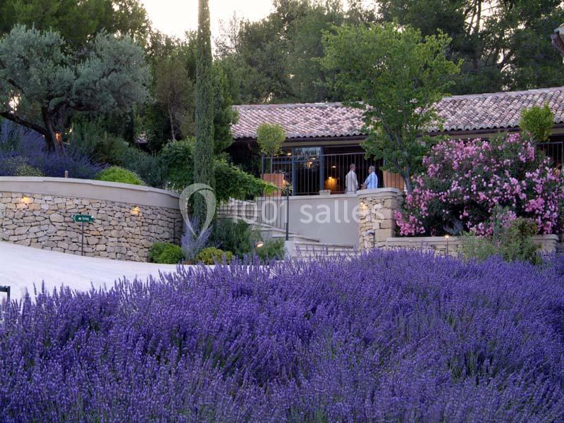 Location salle Sorgues (Vaucluse) - Château La Tour Vaucros #21 Massif de lavande en fleurs devant une maison en pierre avec toit en tuiles, entourée d'arbres et d'arbustes fleuris.