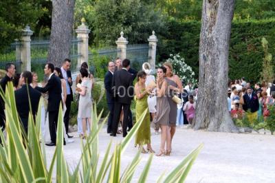 Miniature Location salle Sorgues (Vaucluse) - Château La Tour Vaucros #22 Terrain de tennis entouré d'arbres et de végétation, avec un olivier au premier plan.