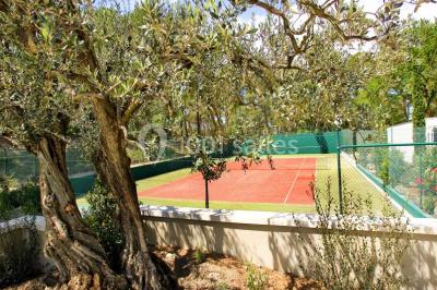 Miniature Location salle Sorgues (Vaucluse) - Château La Tour Vaucros #24 Terrain de tennis entouré d'arbres et de végétation, avec un olivier au premier plan.