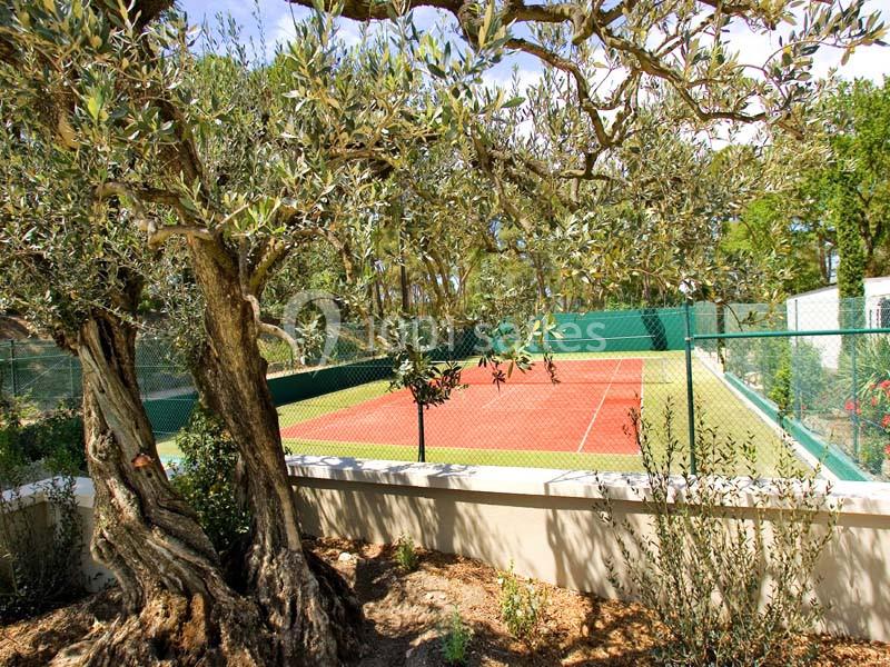 Location salle Sorgues (Vaucluse) - Château La Tour Vaucros #24 Terrain de tennis entouré d'arbres et de végétation, avec un olivier au premier plan.