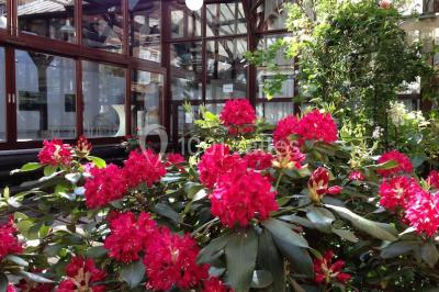 Location salle Paris 1 (Paris) - Light, Loft & Skies #24