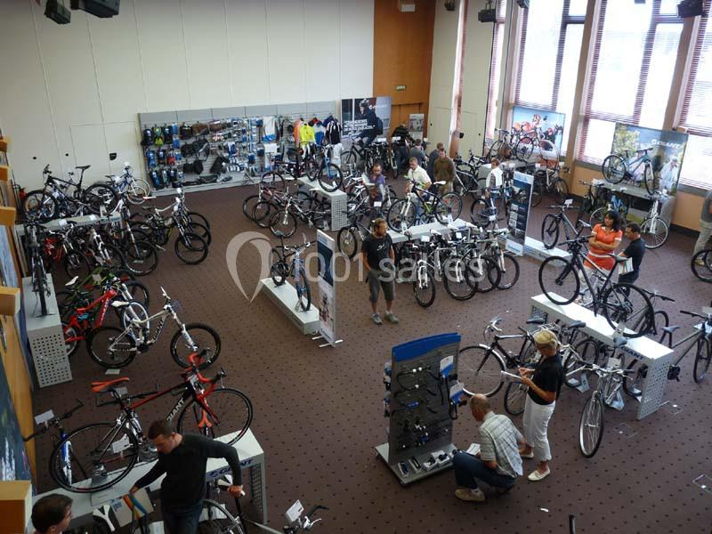 Magasin de vélos avec plusieurs modèles exposés, clients et employés discutant ou examinant les produits.