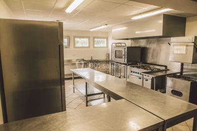 Salle spacieuse avec charpente en bois apparente, carrelage clair et plantes en pots alignées près des fenêtres.