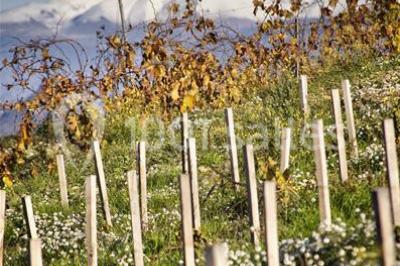 Location salle Nice (Alpes-Maritimes) - Château De Bellet #21