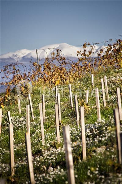 Location salle Nice (Alpes-Maritimes) - Château De Bellet #19