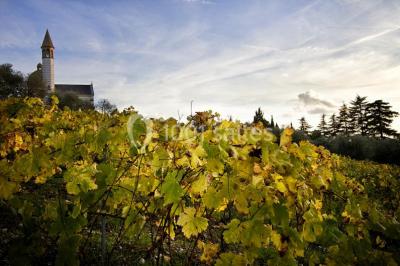 Location salle Nice (Alpes-Maritimes) - Château De Bellet #21