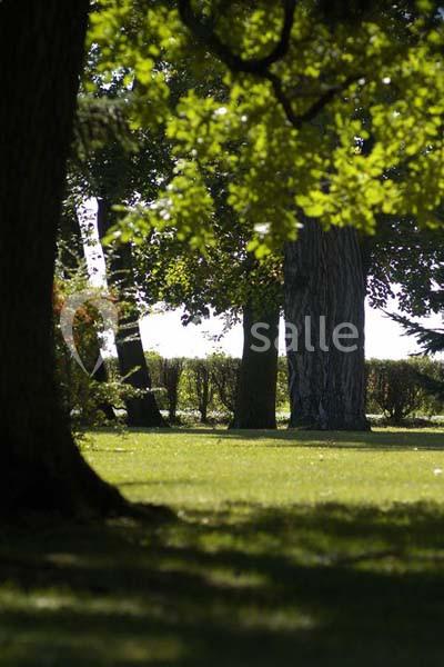Location salle Corcelles-en-Beaujolais (Rhône) - Château De Corcelles #21