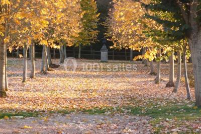 Miniature Location salle Sorel-Moussel (Eure-et-Loir) - Château De Sorel #14 Location salle Sorel-Moussel (Eure-et-Loir) - Château De Sorel #24